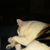 Tina Talley's profile image
