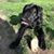 Mitchell Kapus's profile image