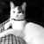 Katherine Newland Bell's profile image