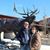 Anne Gros-Gean Long's profile image