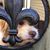 Patti Maggiore's profile image