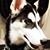 Spencer Coble's profile image