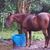 Twila Slomka's profile image
