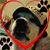 Becki Brandenburg-Greenwell's profile image