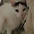 Jere Polmatier's profile image