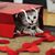 Becky Reitzel's profile image