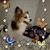 Sally Treat's profile image