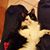 Susan Asciutto's profile image
