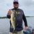 Matt Shuffstall's profile image