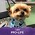 Nancy Woodward Miller's profile image