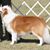 Lindsay Marienthal's profile image