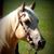 Twila Brown's profile image