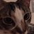 Kathie Hawkins's profile image
