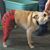 Mindy Mair's profile image