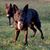 Kaye Huebner's profile image