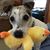 Judy Haigler Faggart's profile image