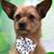 Sherry Cooper Rambo's profile image