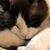 Rebecca Leon Hathcoat's profile image