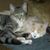 Kay Turner's profile image