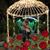 Nargis H Feroz's profile image