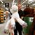 Chris Clancy's profile image