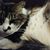 Lori Hythecker's profile image