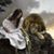 Carolyn McBride's profile image