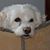 Tina Abramowitz's profile image