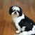 Jean Conniff's profile image
