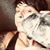 Yvonne Gibson-Serrette's profile image