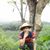 Nguyen Anhtam's profile image