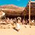 Linda Catalina Cuadros's profile image