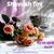 Lynda S. Layton's profile image