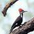 Joanie McLaughlin Howe's profile image