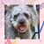 Yolande de Renesse's profile image