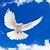 Allan Peter's profile image