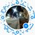Harris Robert Lee's profile image