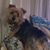 Penny Sutton Reader's profile image