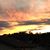 Linda Bedkowski Ferrell's profile image