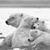 Catherine Gautier's profile image