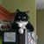 Denise D Skiles's profile image
