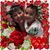 Elaine Juancho's profile image