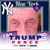 Frank D'Andrea's profile image
