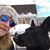 Elizabeth Cinelli's profile image