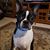Rhonda Rocchio's profile image