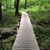 Diane Marie Cestrone's profile image