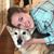 Michelle Sawyer's profile image