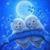 Christy Kestner's profile image