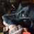 Nicole Whitehead's profile image