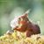 Melody Feil's profile image